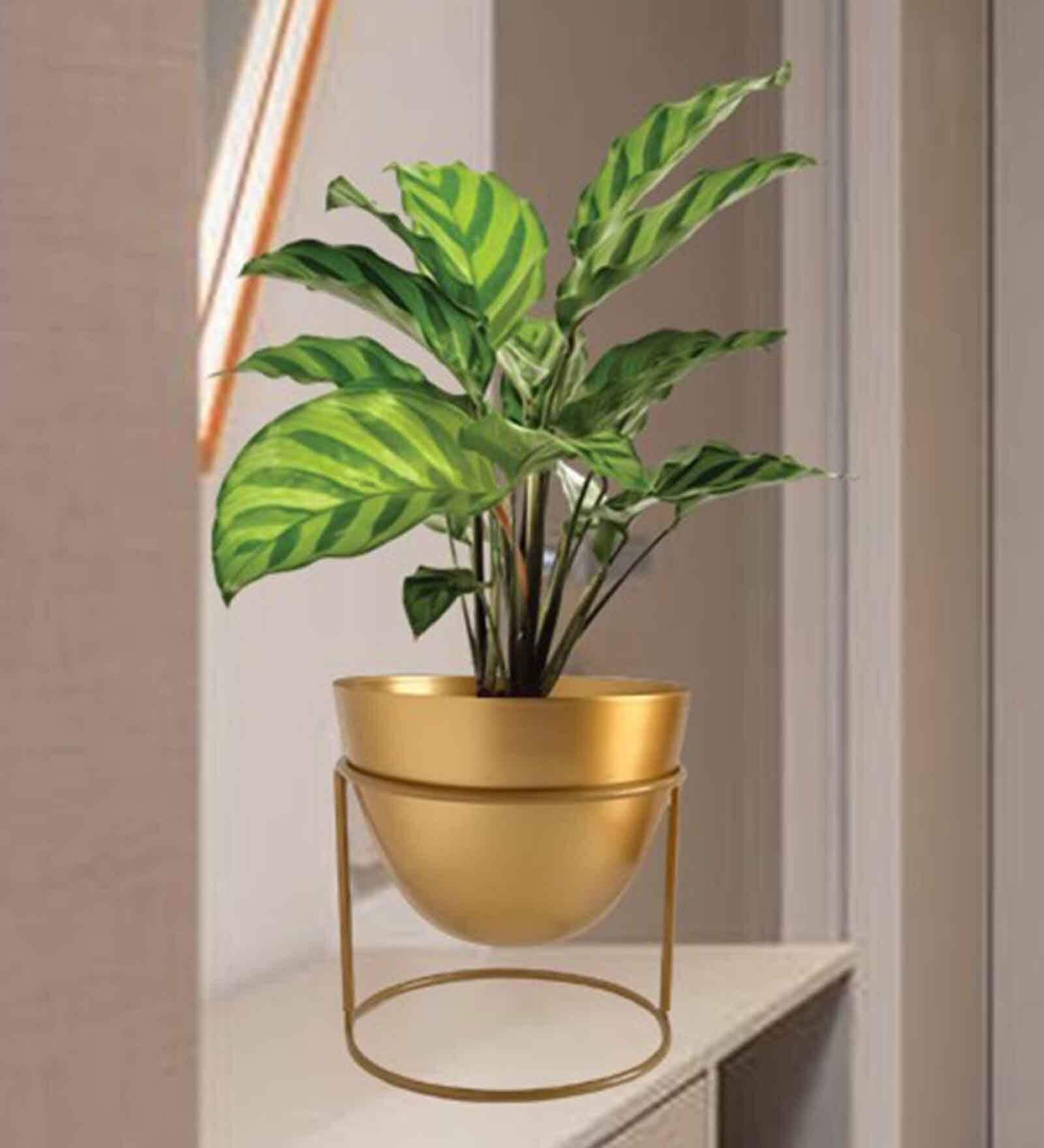 Gold Metal Alle Desk Pot (Set Of 2)