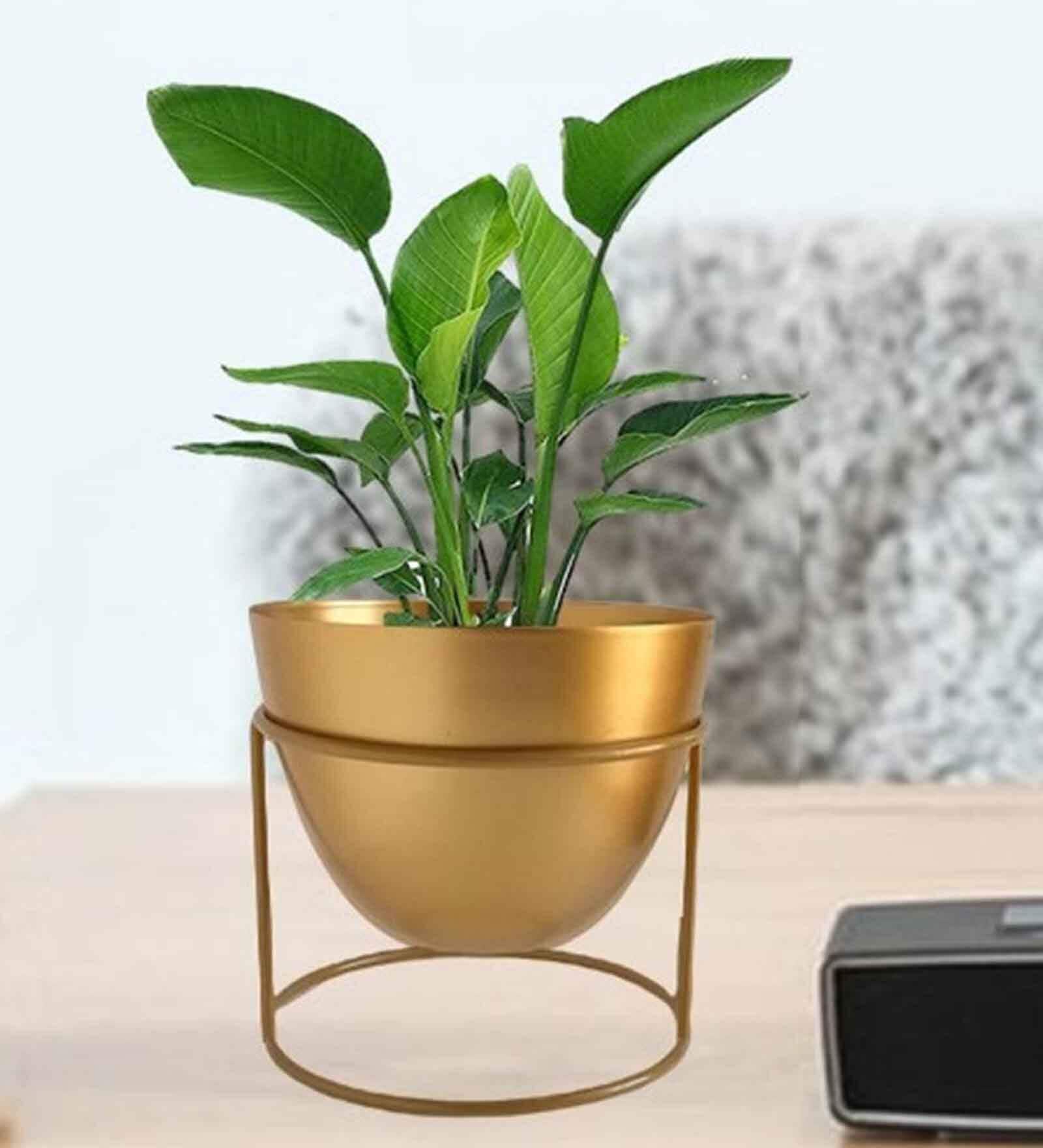 Gold Metal Alle Desk Pot Desk Pot
