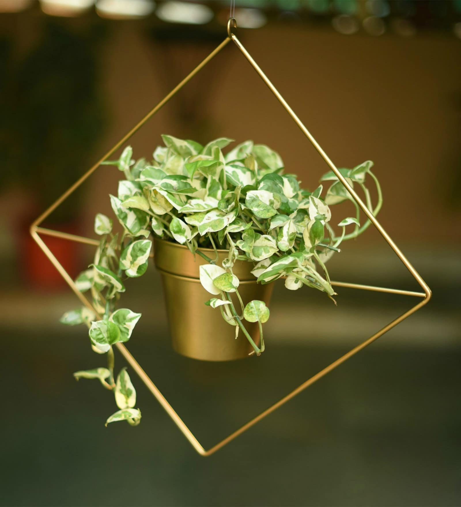 Gold Metal Diamond Shaped Hanging Planter