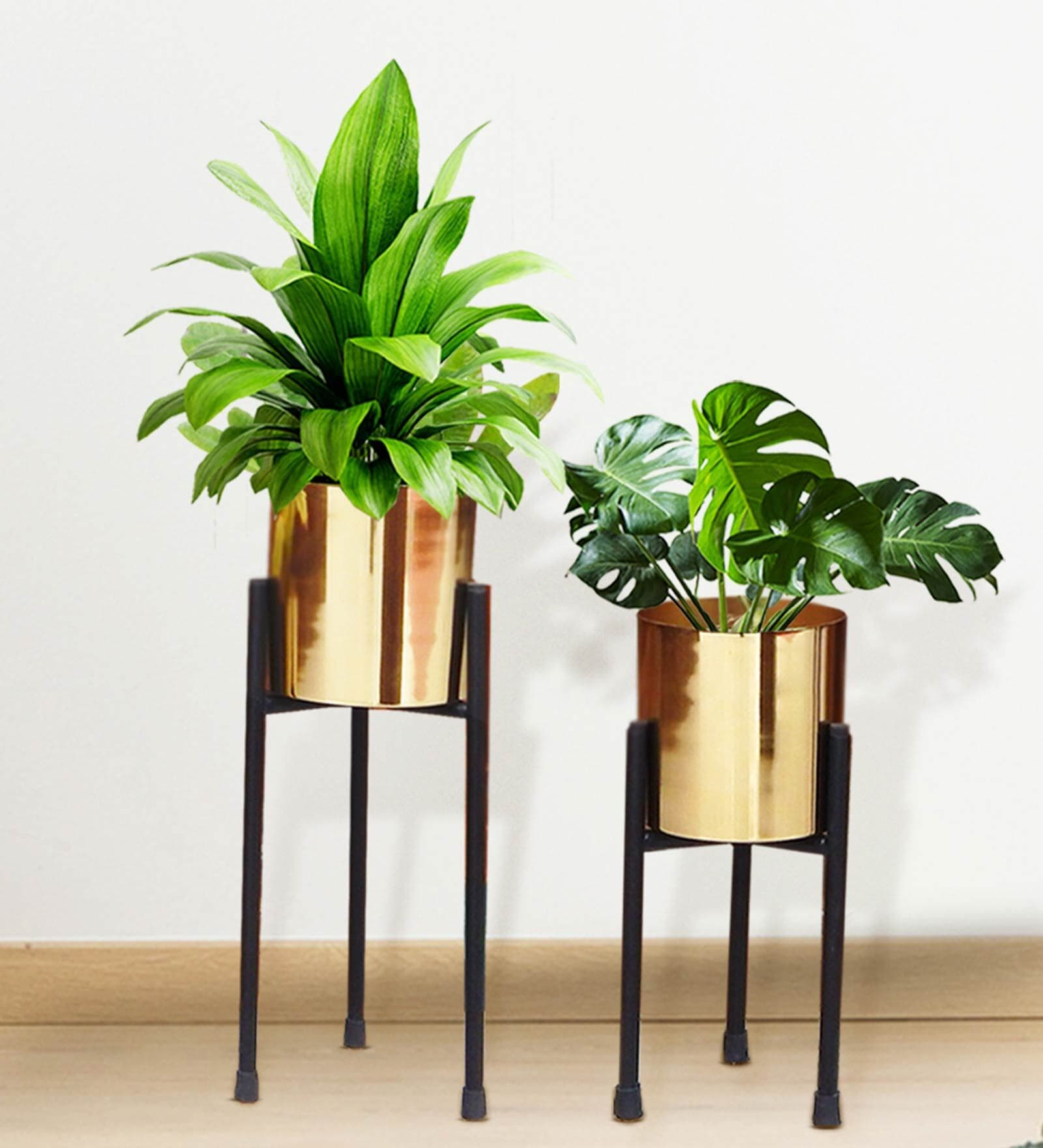 Buy Gold Metal Emma Floor Planter (Set Of 2) at 33% OFF by Ecofynd ...