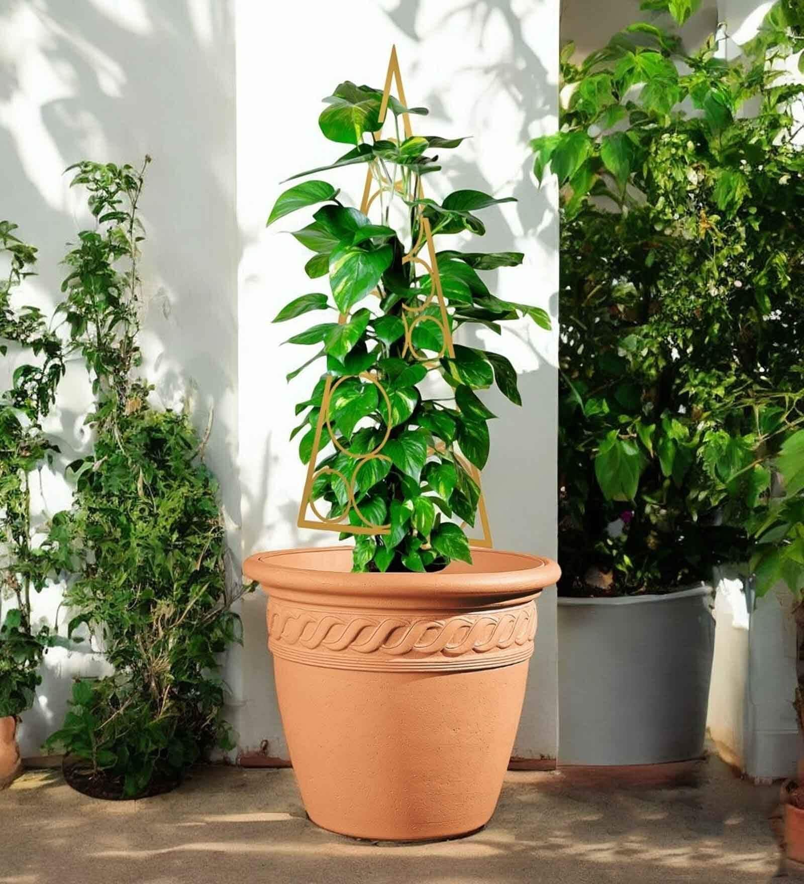 Gold Circul Planter Stand For Climbing Plants Gold Circul Planter Stand For Climbing Plants