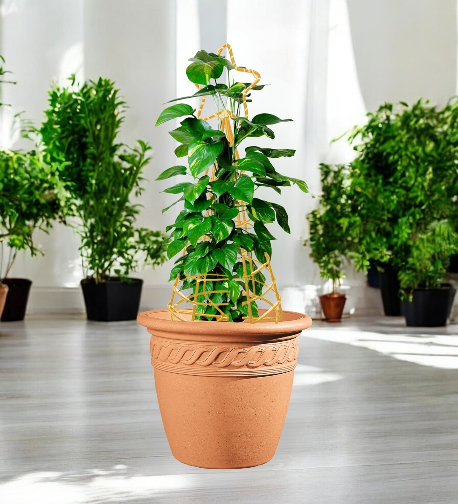 Gold Star Planter Stand For Climbing Plants