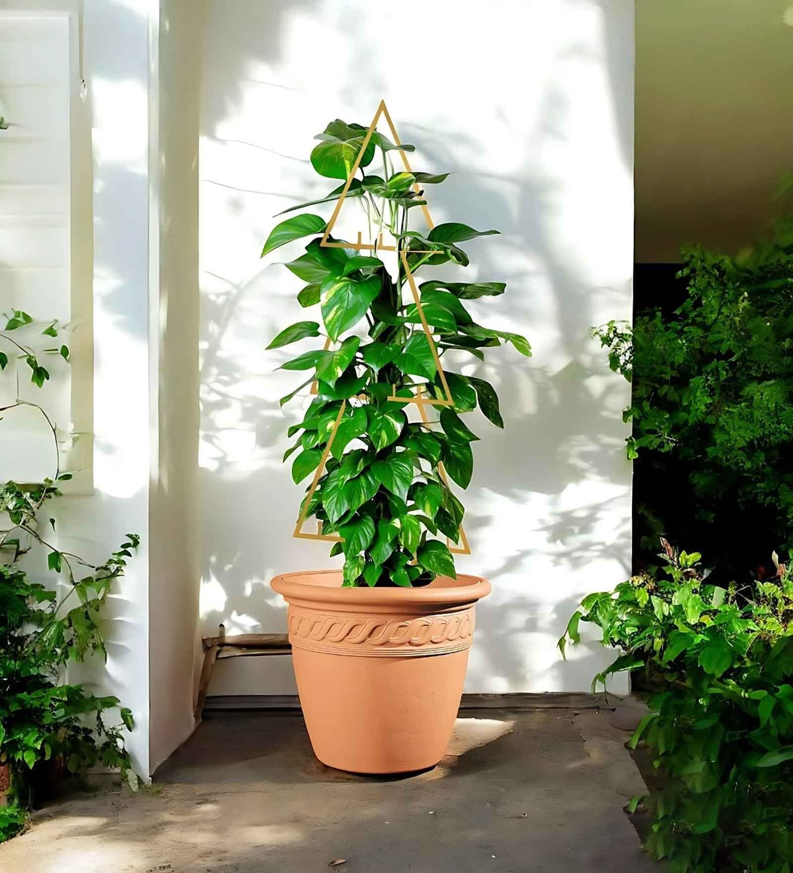Gold Triangle Planter Stand For Climbing Plants Gold Triangle Planter Stand For Climbing Plants