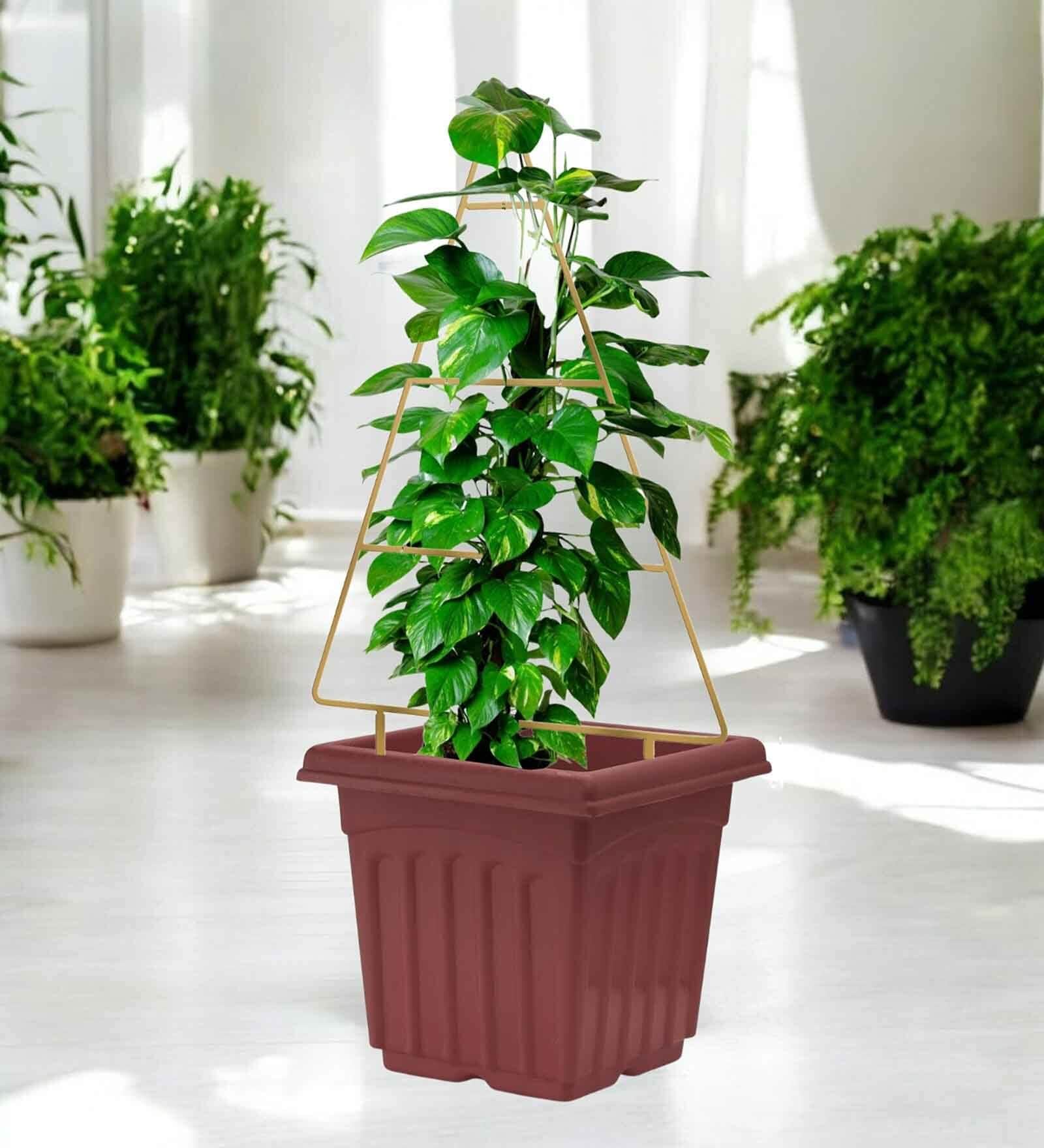 Gold Triangle Planter Stand For Climbing Plants Gold Triangle Planter Stand For Climbing Plants