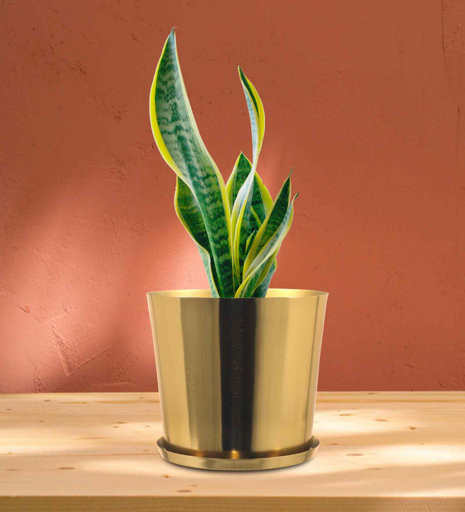 Gold Metal Round Planter