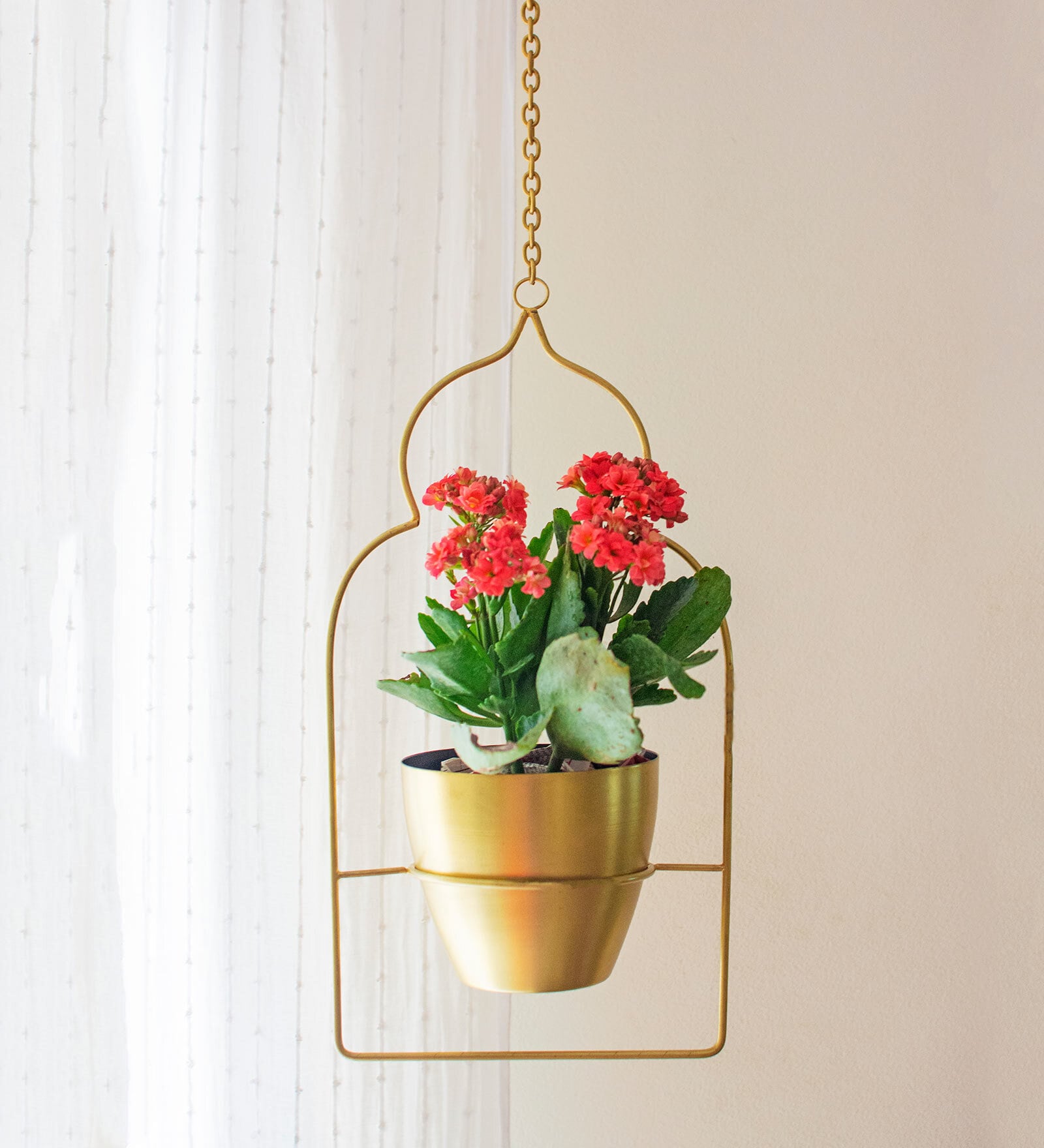 Gold Iron Saira Hanging Planter