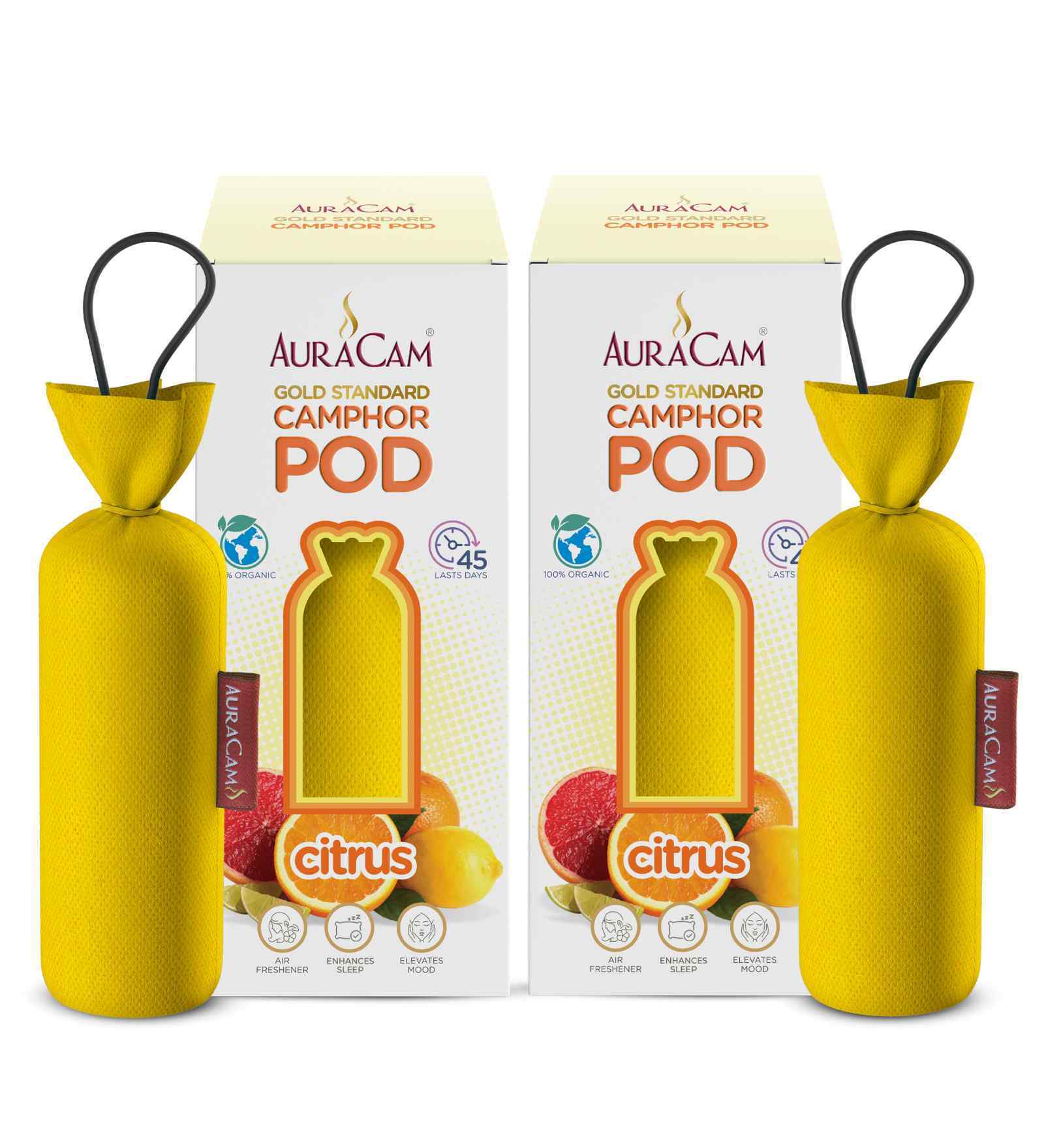Gold Standard Camphor Pod Cone (Citrus)