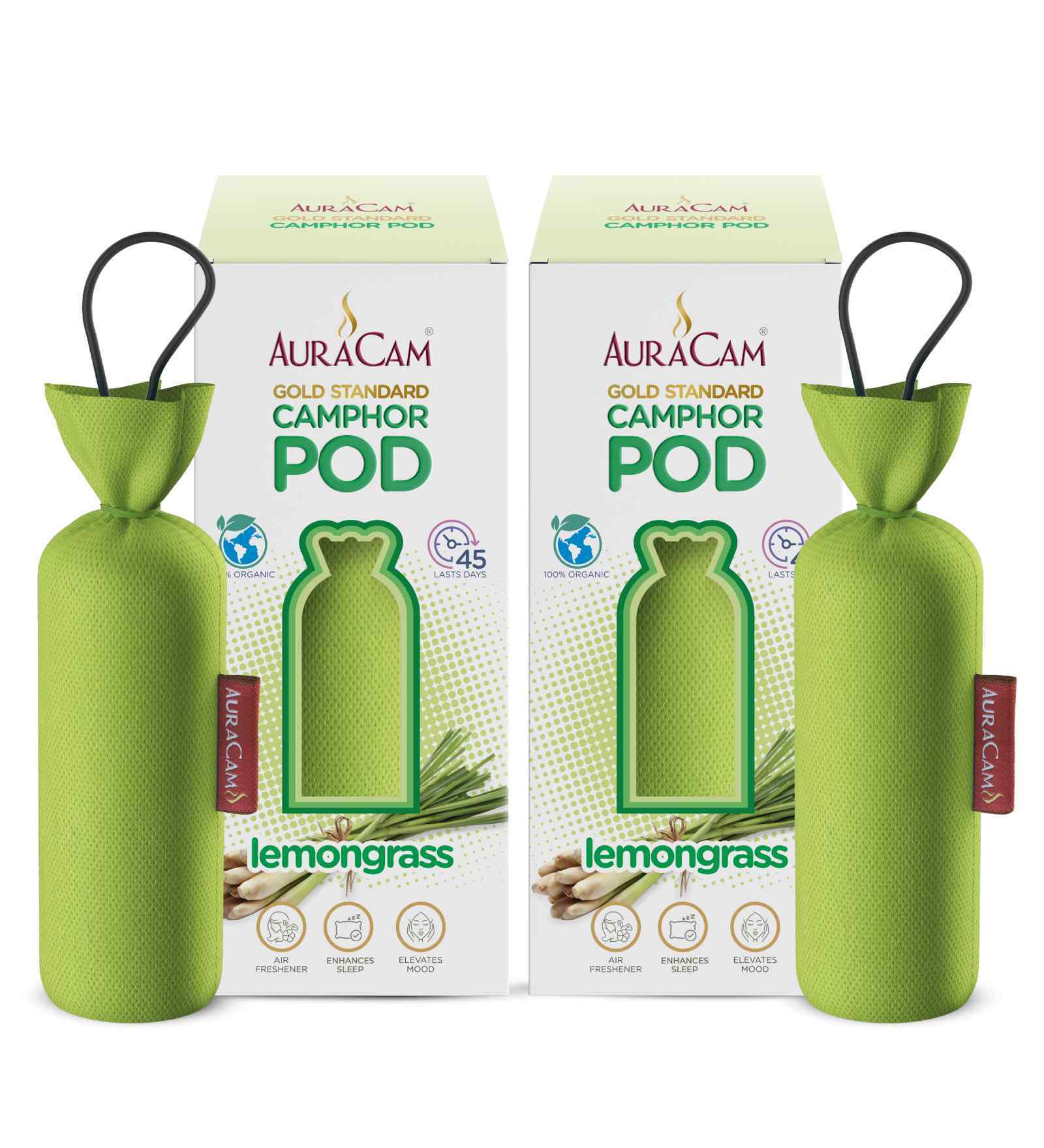 Gold Standard Camphor Pod Cone (Lemongrass)