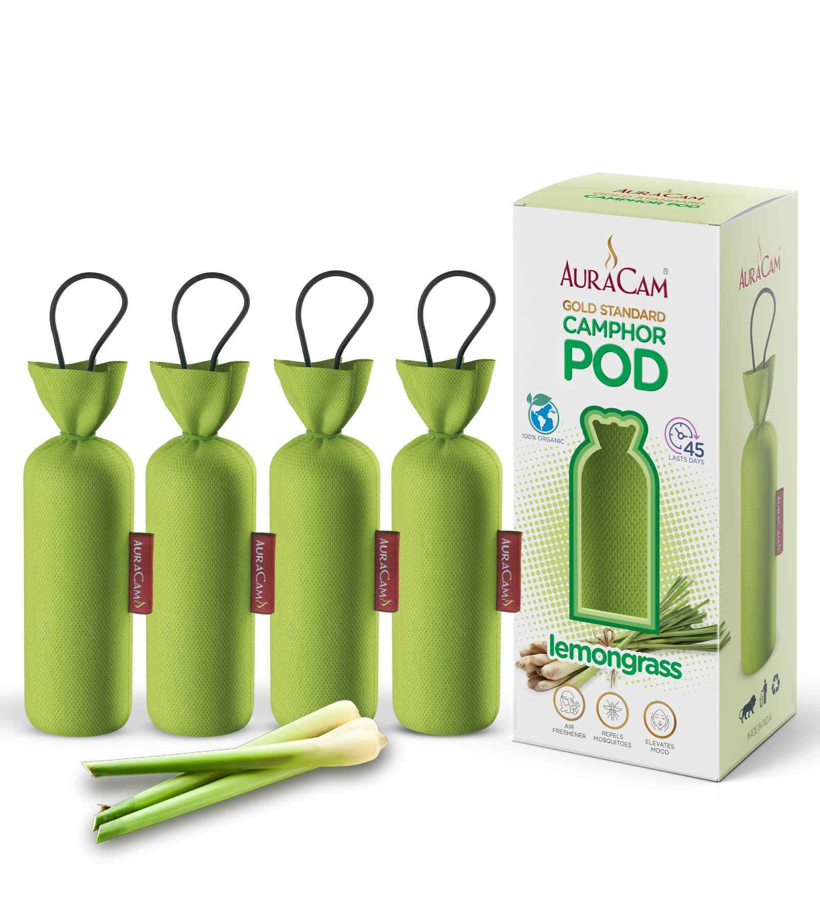 Gold Standard Camphor Pod Cone (Lemongrass)