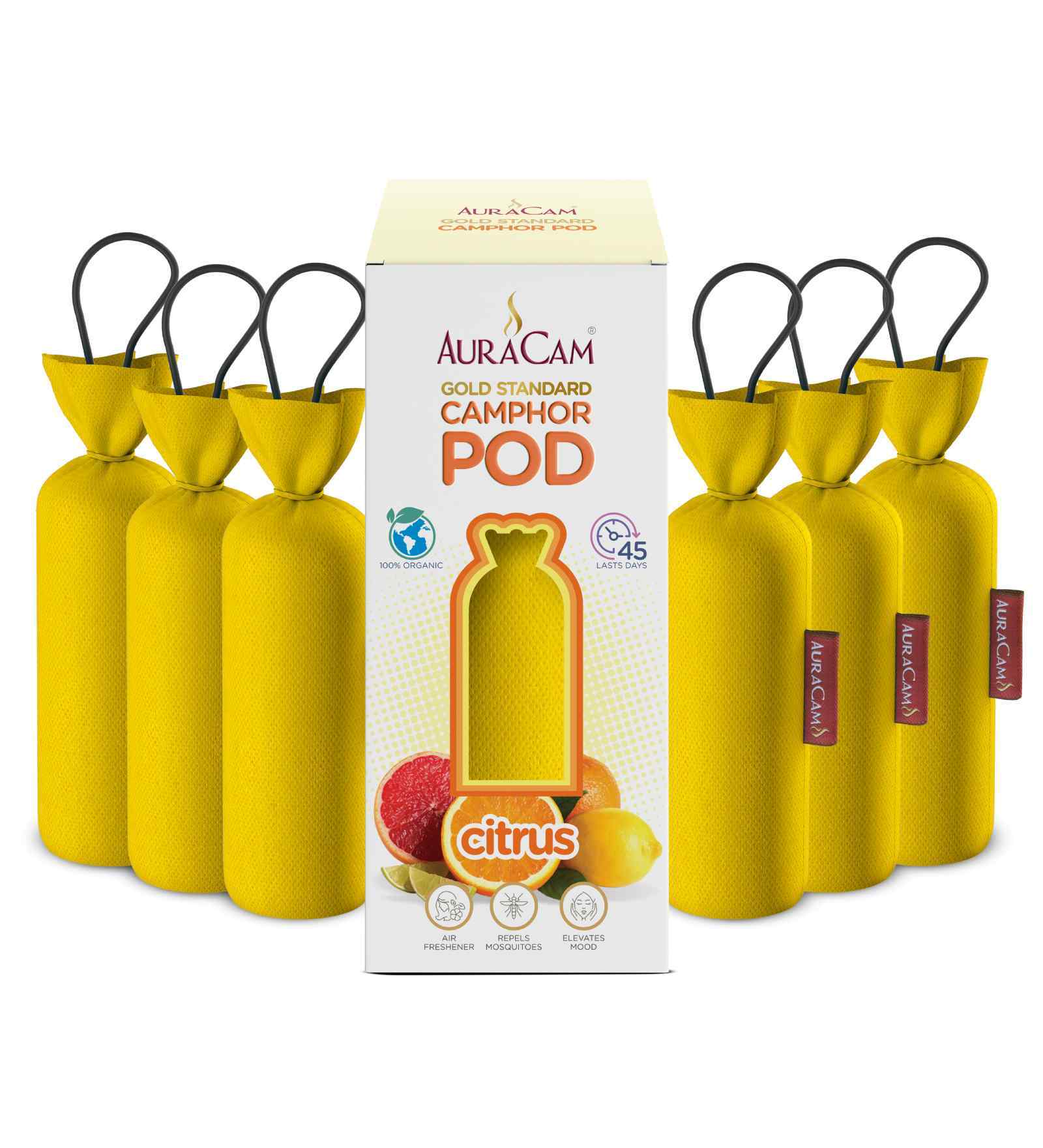Gold Standard Camphor Pod Cone Citrus- Set of 6 Gold Standard Camphor Pod Cone Citrus- Set of 6