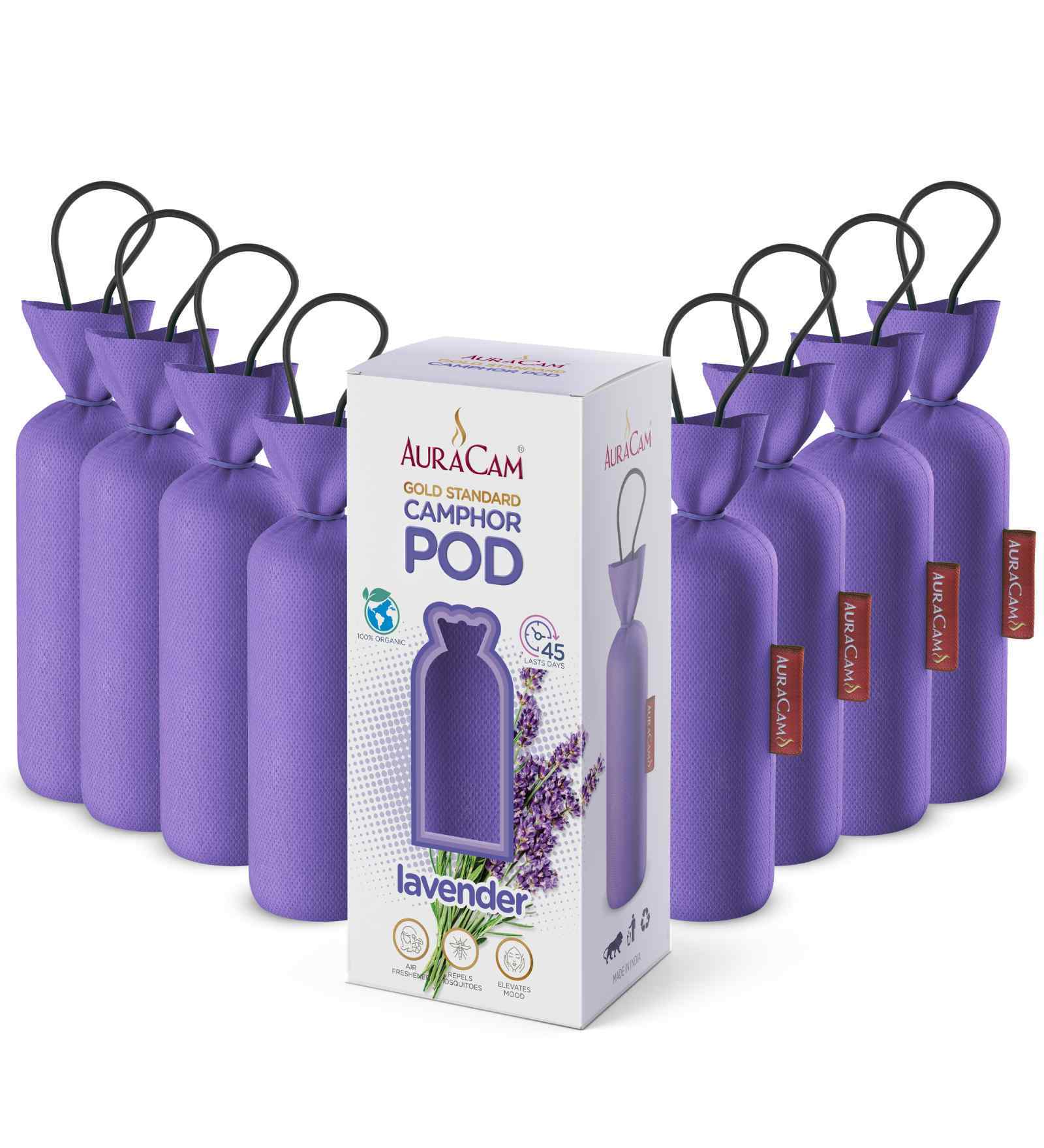 Gold Standard Camphor Pod Cone Lavender- Set of 8