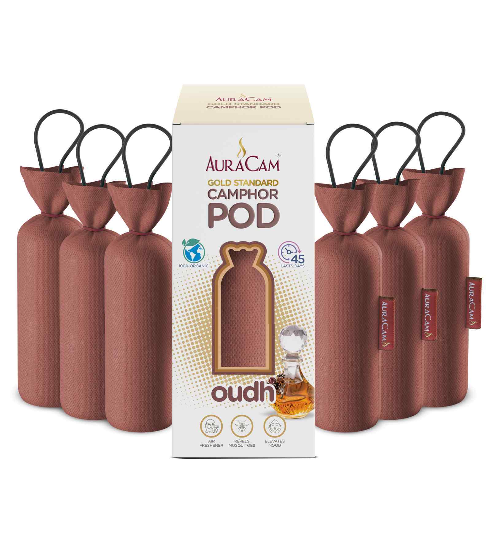 Gold Standard Camphor Pod Cone Oudh- Set of 6