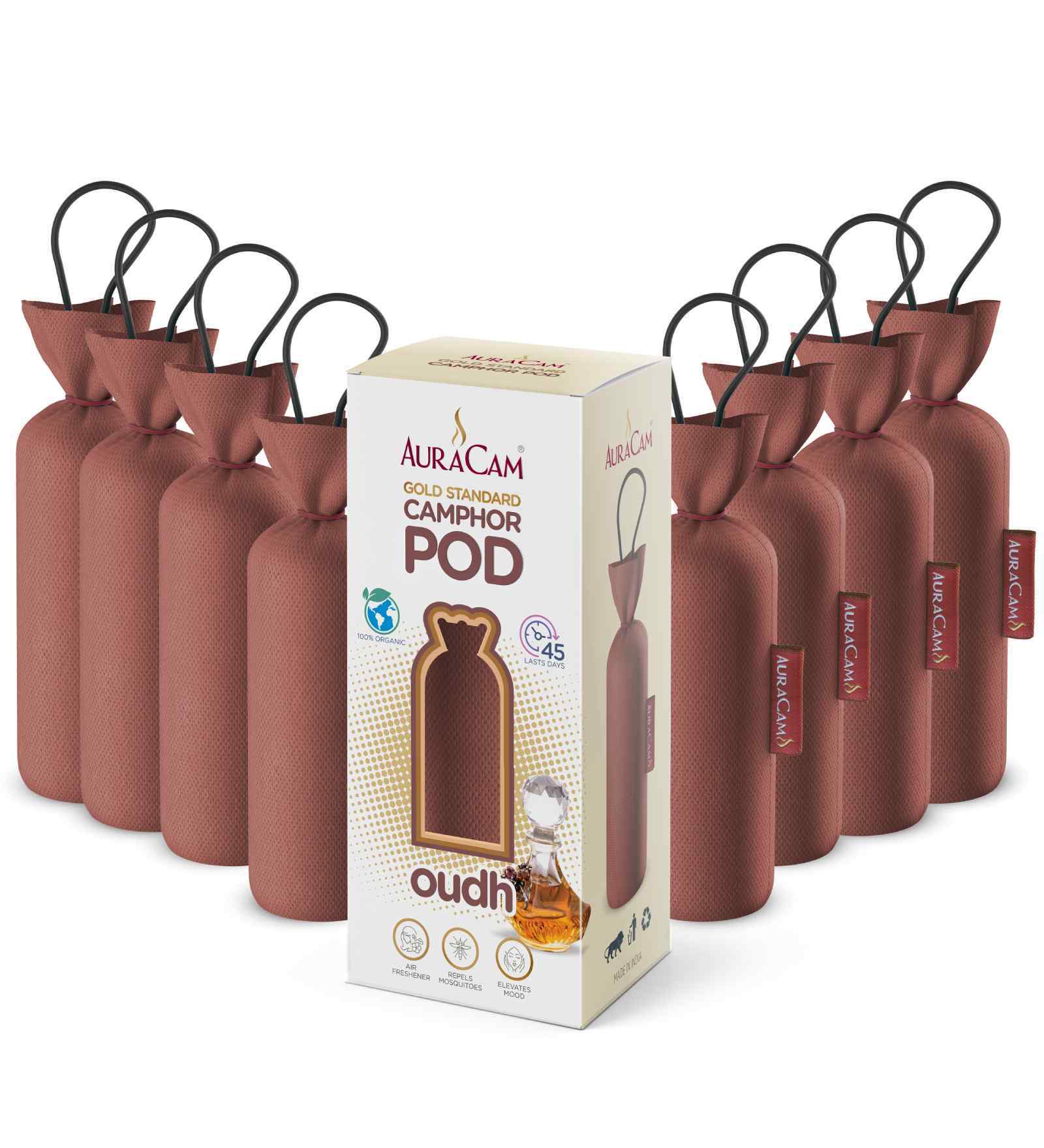 Gold Standard Camphor Pod Cone Oudh- Set of 8
