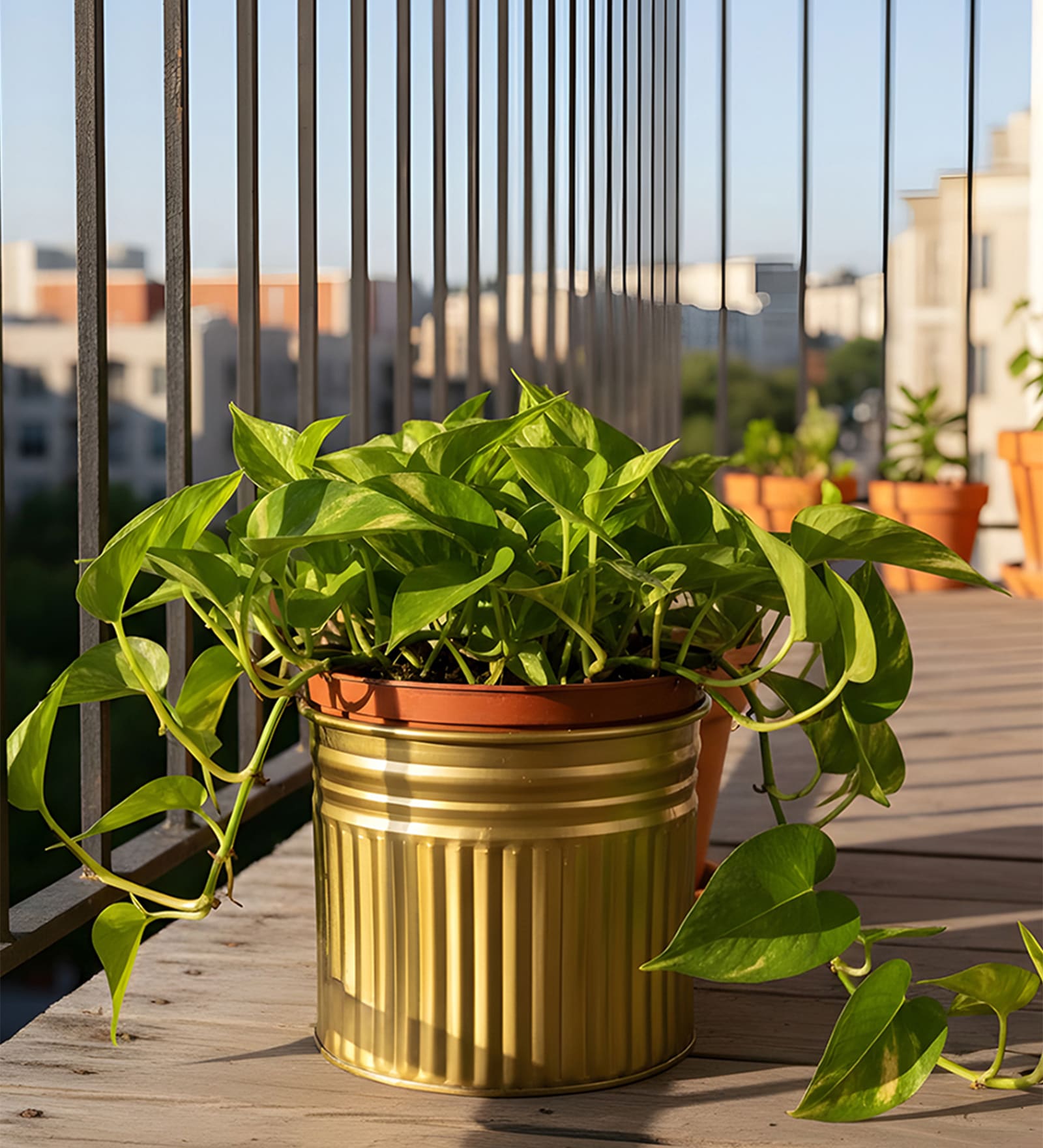 Golden Metallic Round Radiant Stripes Planter