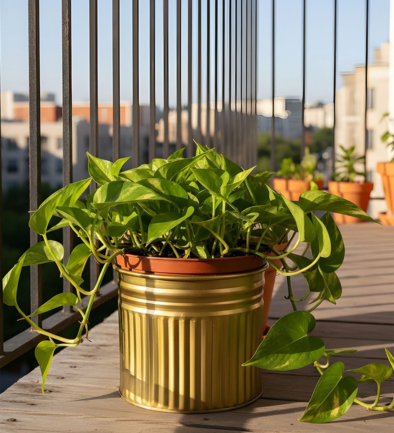 Golden Metallic Round Radiant Stripes Planter