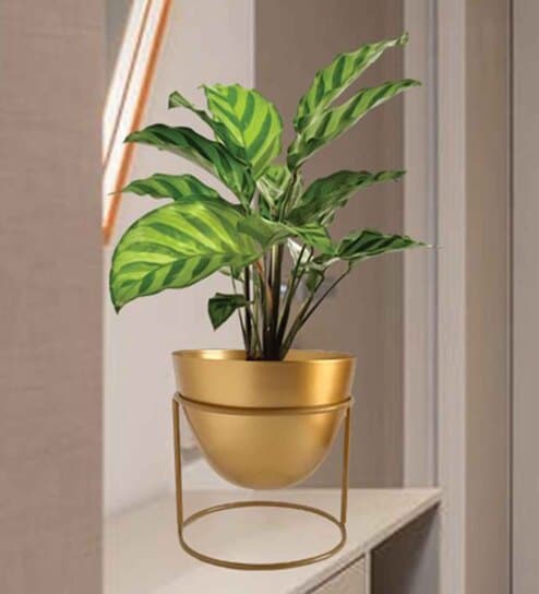 Gold Metal Alle Desk Pot (Set Of 2)