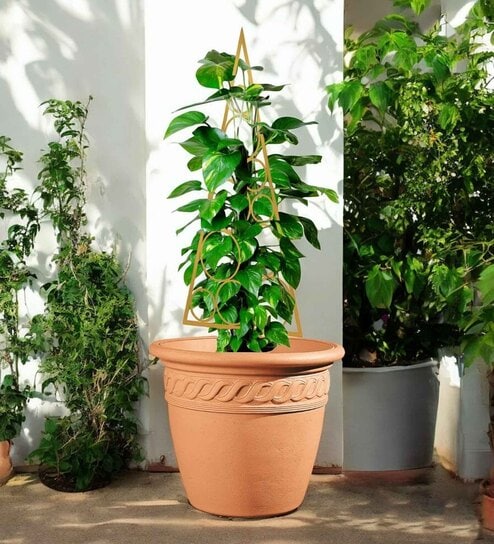 Gold Circul Planter Stand For Climbing Plants