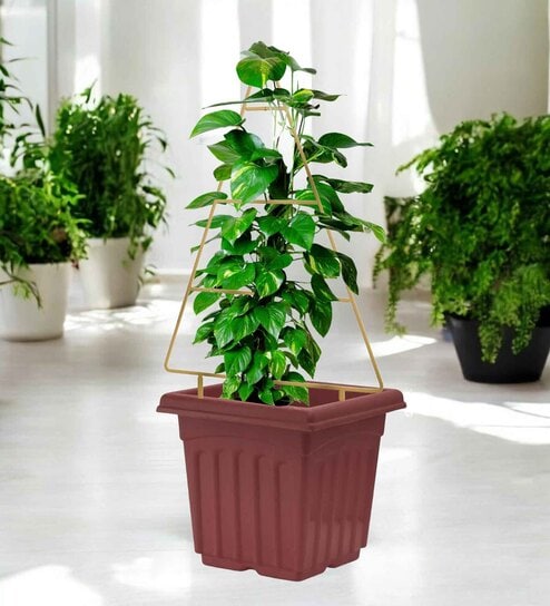 Gold Triangle Planter Stand For Climbing Plants