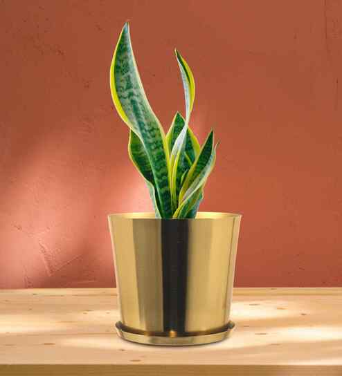 Gold Metal Round Planter