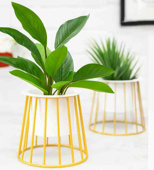 Gold Metal Taper Cylinderical Table Planter Stand With White Pot (Set of 2) By Homesake