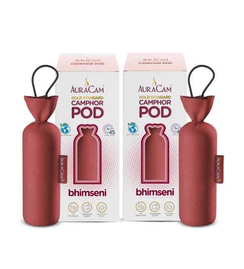 Gold Standard Camphor Pod Cone (Bhimseni) - Set of 2