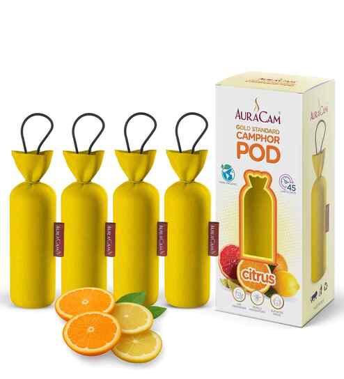 Gold Standard Camphor Pod Cone (Citrus) - Set of 4