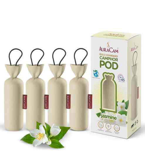 Gold Standard Camphor Pod Cone (Jasmine) - Set of 4