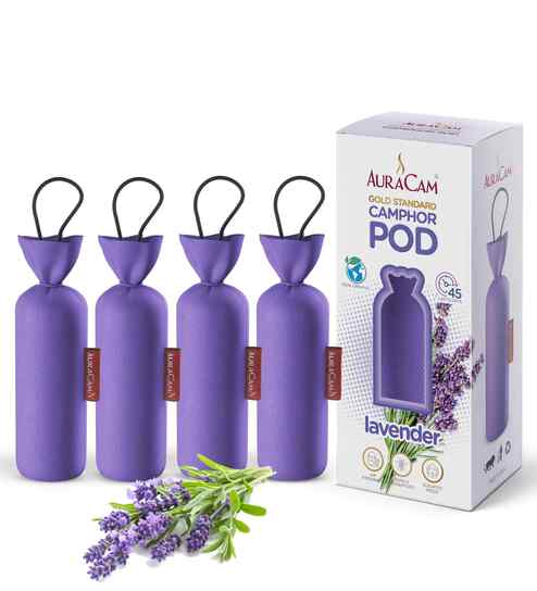 Gold Standard Camphor Pod Cone (Lavender) - Set of 4