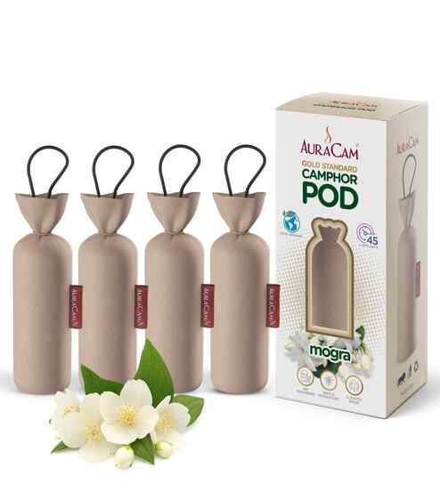 Gold Standard Camphor Pod Cone (Mogra) - Set of 4