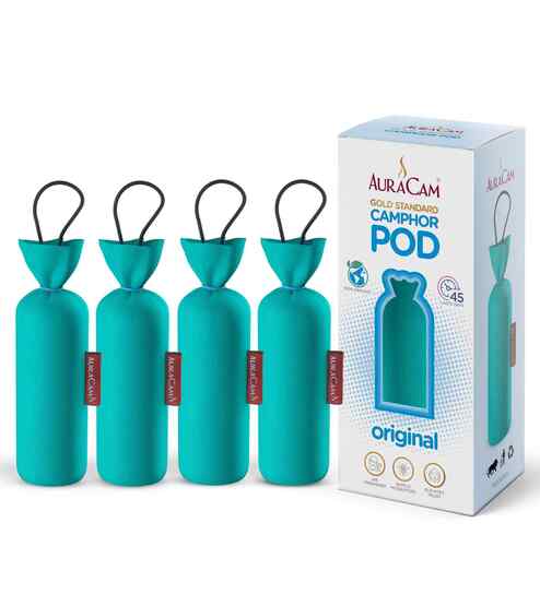 Gold Standard Camphor Pod Cone (Original) - Set of 4 -