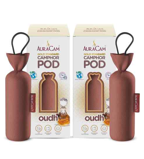 Gold Standard Camphor Pod Cone (Oudh) - Set of 2