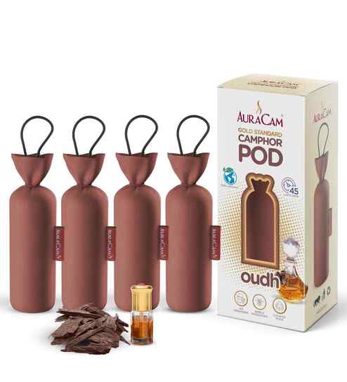 Gold Standard Camphor Pod Cone (Oudh) - Set of 4