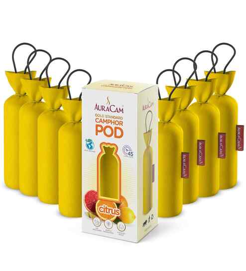 Gold Standard Camphor Pod Cone Citrus- Set of 8
