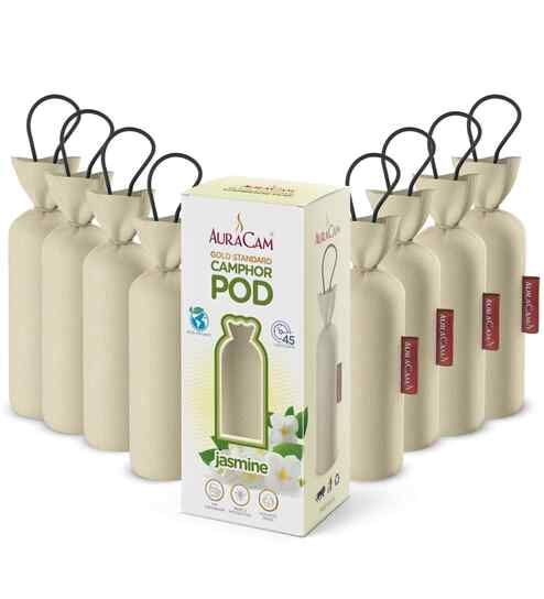 Gold Standard Camphor Pod Cone Jasmine- Set of 8