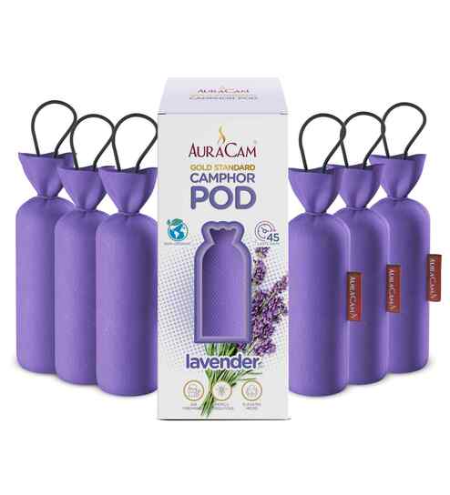 Gold Standard Camphor Pod Cone Lavender- Set of 6