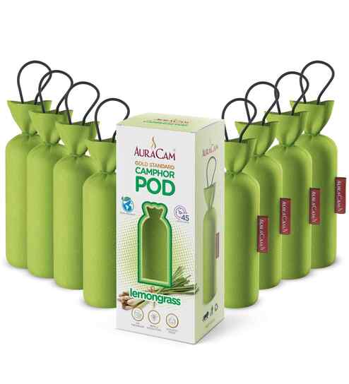 Gold Standard Camphor Pod Cone Lemongrass- Set of 8