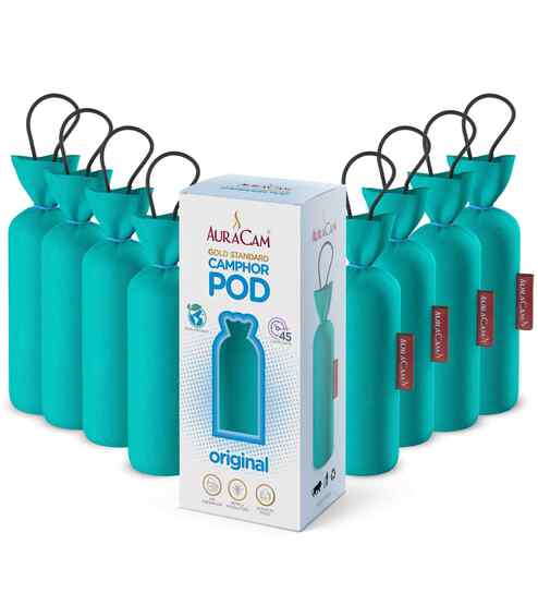 Gold Standard Camphor Pod Cone Original- Set of 8