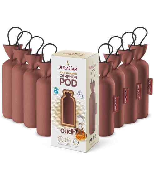 Gold Standard Camphor Pod Cone Oudh- Set of 8
