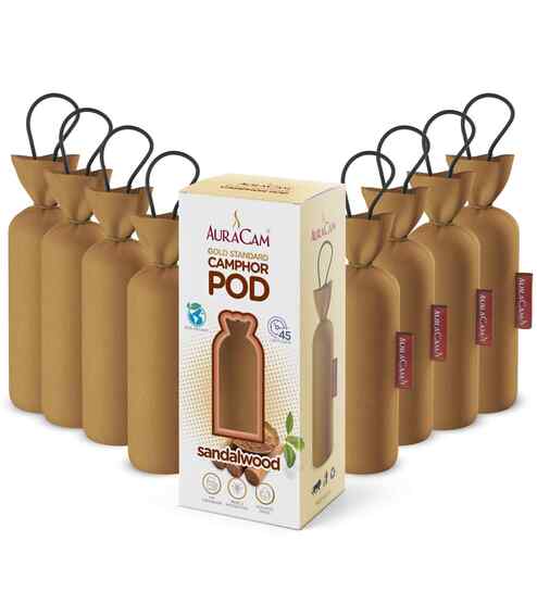 Gold Standard Camphor Pod Cone Sandalwood- Set of 8