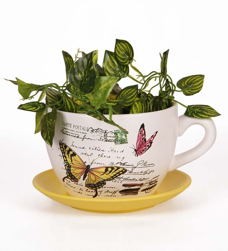 Buy Go Hooked Cup & Saucer Planter Online Pots & Planters Pots