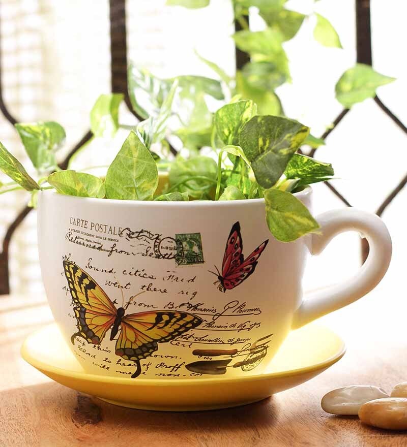 Buy Go Hooked Cup & Saucer Planter Online Pots & Planters Pots