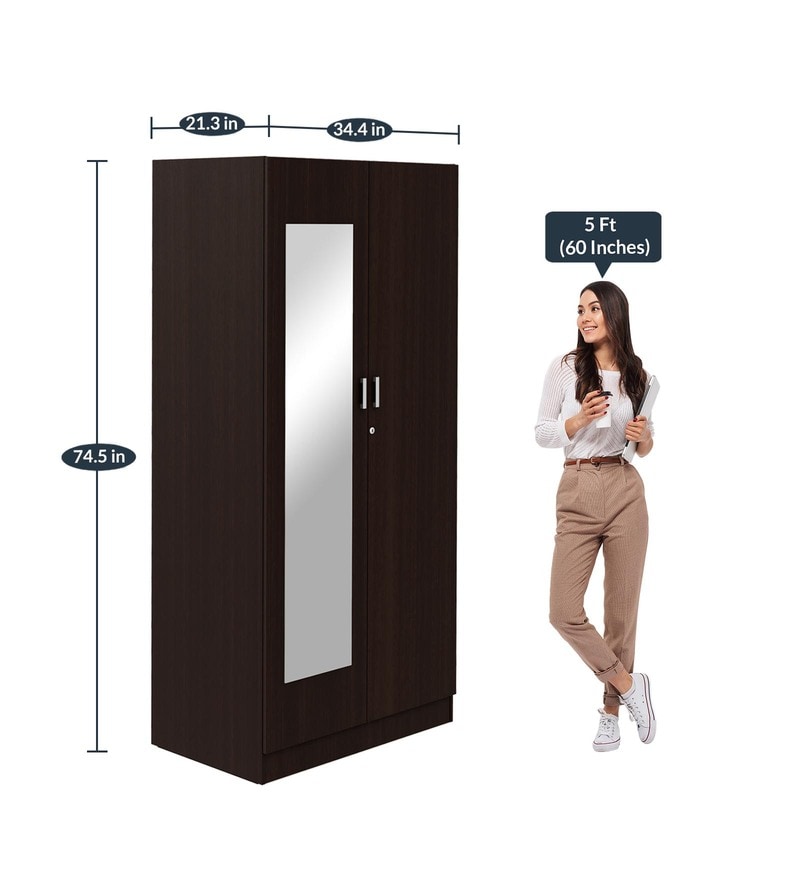 Buy Genesys 2 Door Wardrobe in Cold Rain Finish with Mirror by Godrej