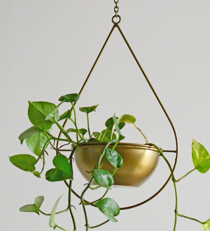 Buy Gold Iron Orion Hanging Planter by TA Home Decor Online Hanging