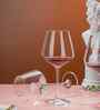 Goblet Set of 6 Crystal Lead Free Glass 460ml Wine Glasses