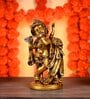God Baby Krishna With Peacock
Brown Resin  Idols