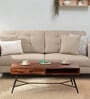 Goines Sheesham Wood Coffee Table in Scratch Resistant Rustic Teak Finish