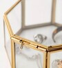 Golden Glass Multipurpose Octagon Jewellery Organiser