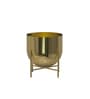 Gold Aluminium Tess Pot