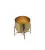 Gold Aluminium Tess Pot