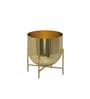 Gold Aluminium Tess Pot
